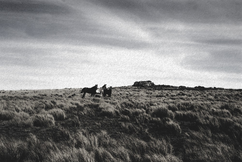 "en el cerro" de Fabrisio Heib