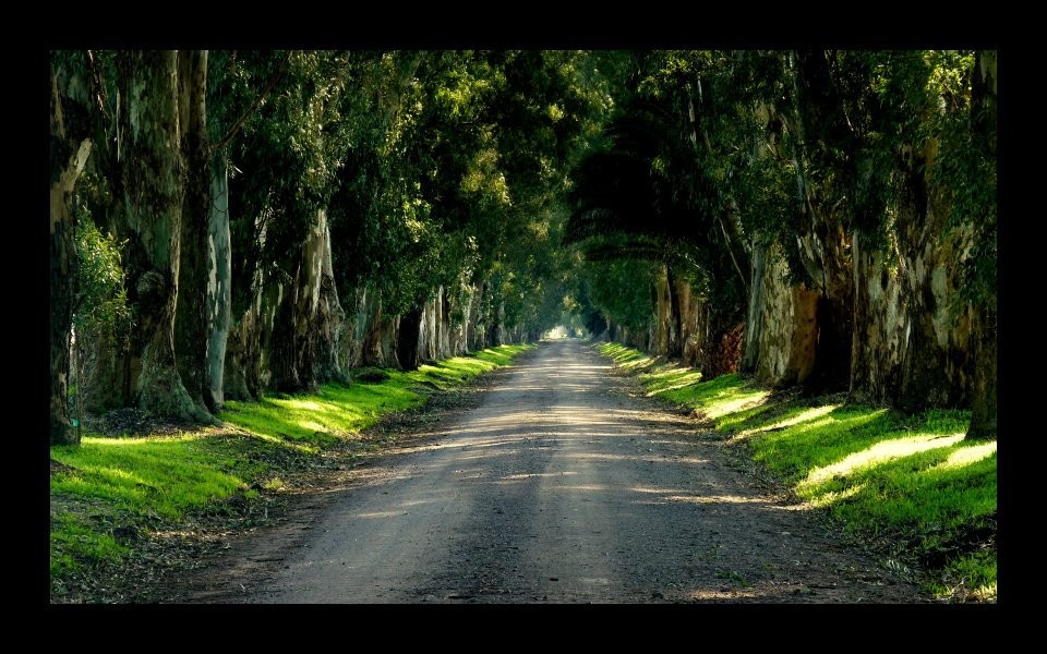 "Quien dijo que a m me gustaban los caminos ......" de Viviana Braga