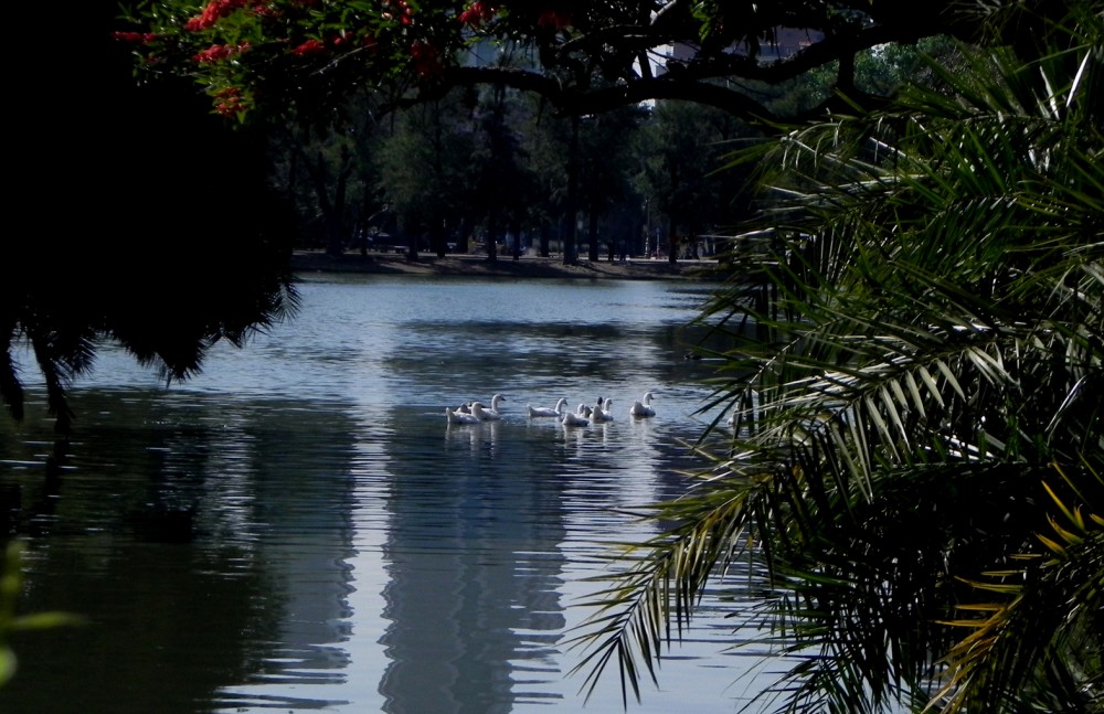 "Paseando por Palermo" de Raul Alfredo Vide