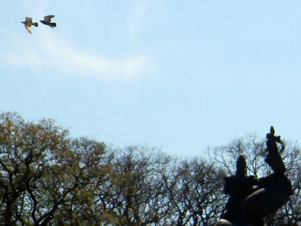 "EN PLENO VUELO" de Hugo Zadunaisky