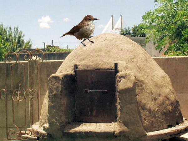 "No tens vivienda, Gorosito!" de Hugo Zadunaisky