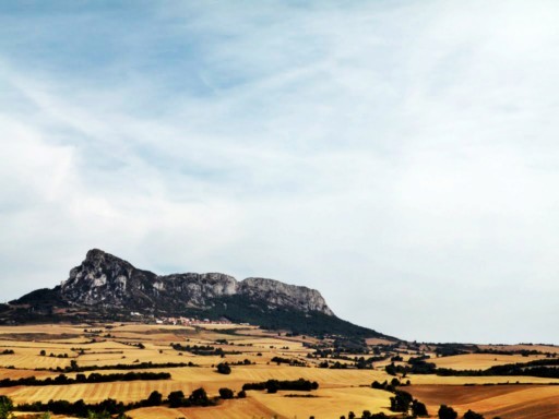 "el ` len dormido `" de Rosa Mara Olivn