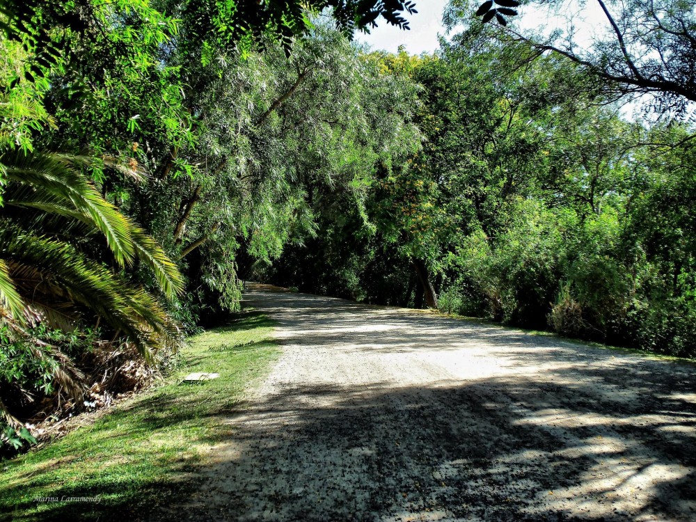 "De la serie `Paseando por la Reserva...` IV" de Marina Larramendy