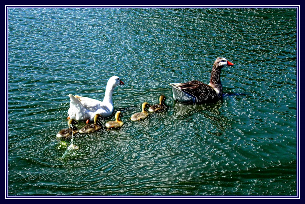 "Familia" de Ricardo Brusa