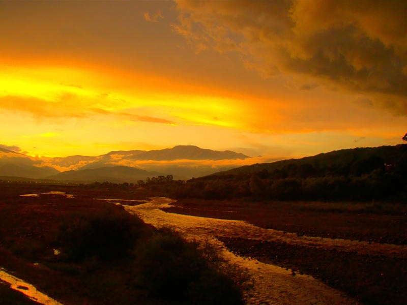 "los perales junto al rio" de Salvador Ortiz