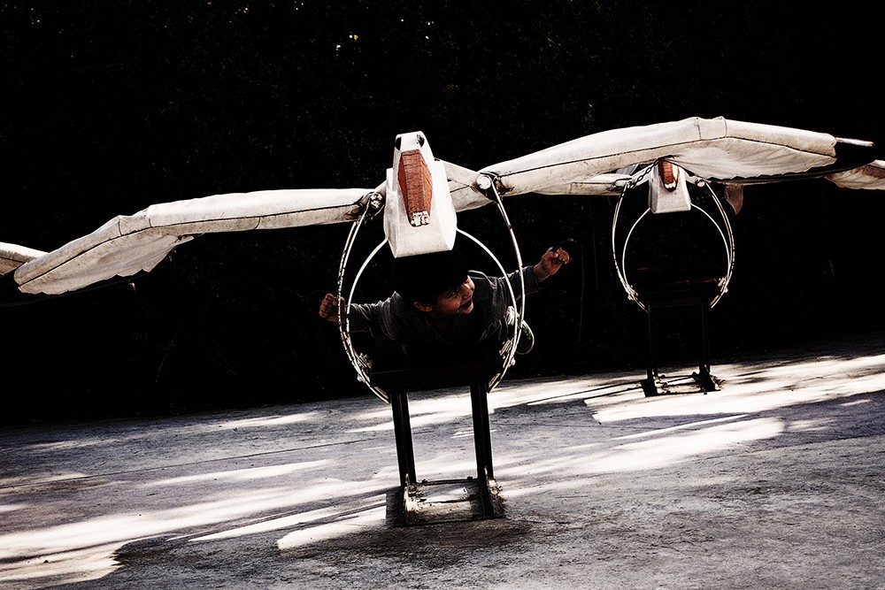"El vuelo del pelicano" de Fabrisio Heib