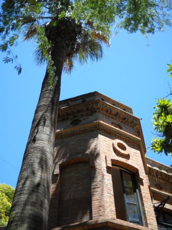 "A la sombra de la Palmera.!!" de Beatriz Benger