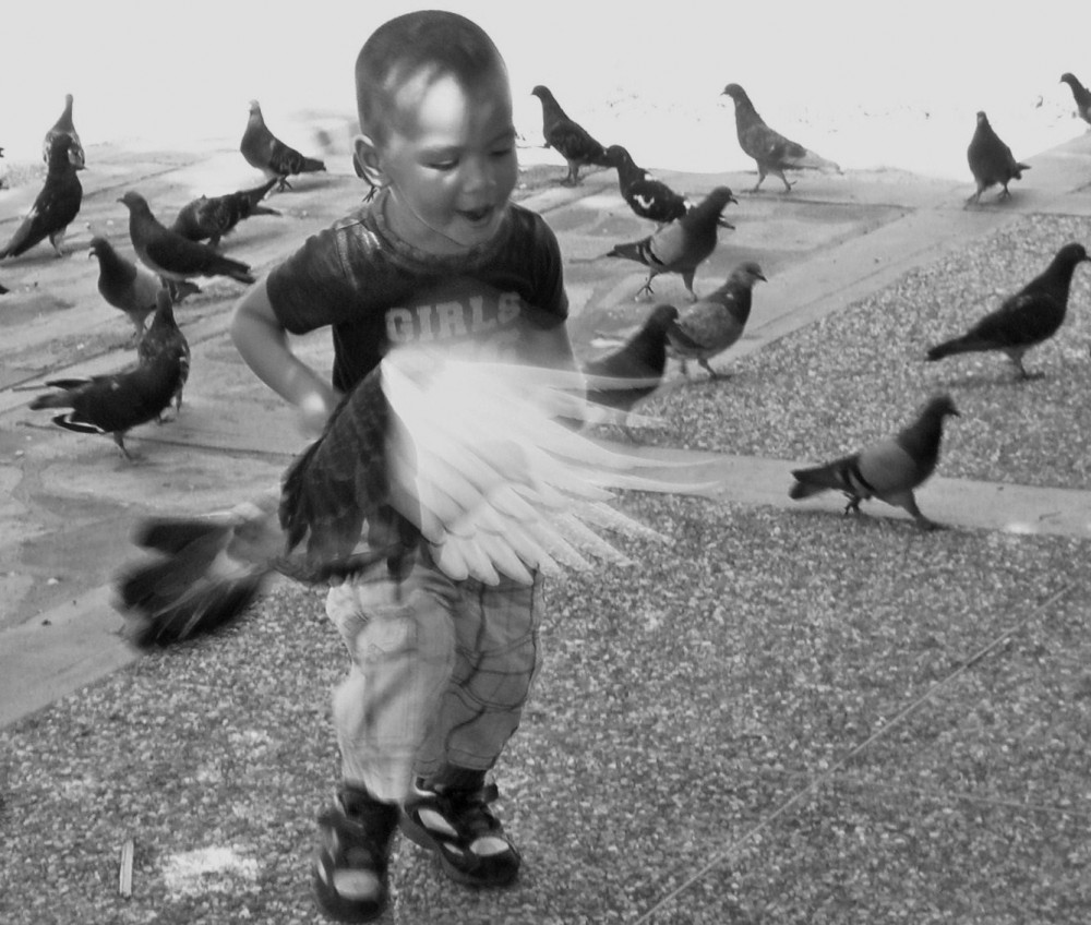 "Jugando con palomas" de Alicia Mazzeo