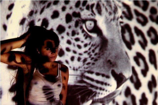 "leopardo" de Andrea Cormick