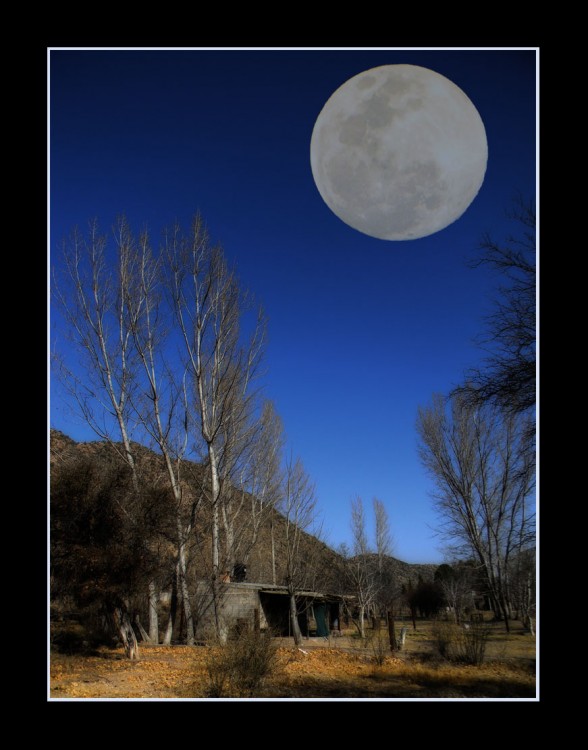 "Noche de luna" de Nanci Zumino