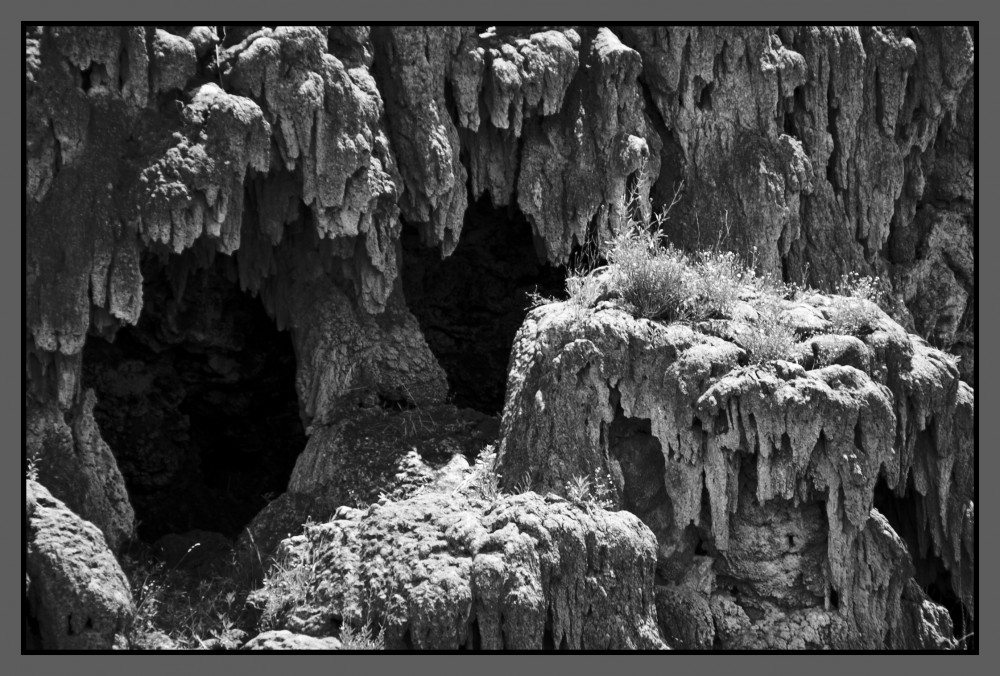 "Curiosas cuevas cribadas" de Jos Ignacio Barrionuevo