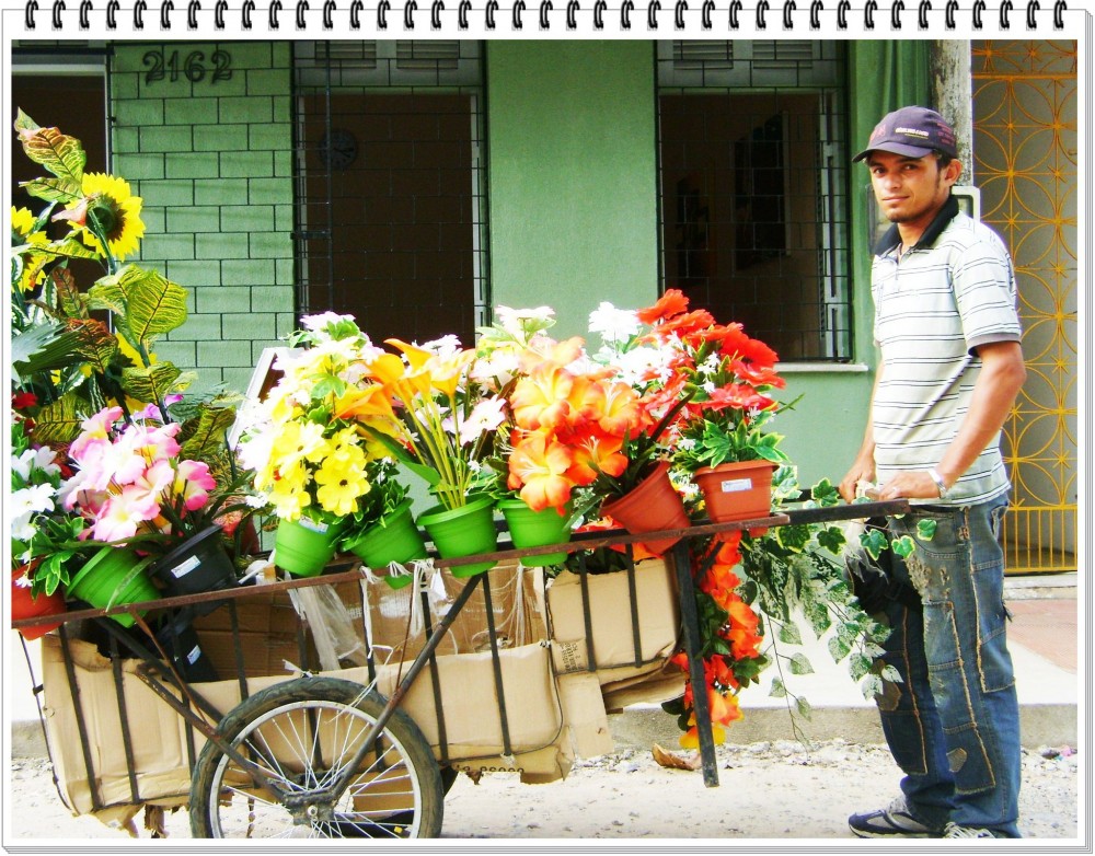 "vendedor de flores artificiales" de Valeria Montrfano