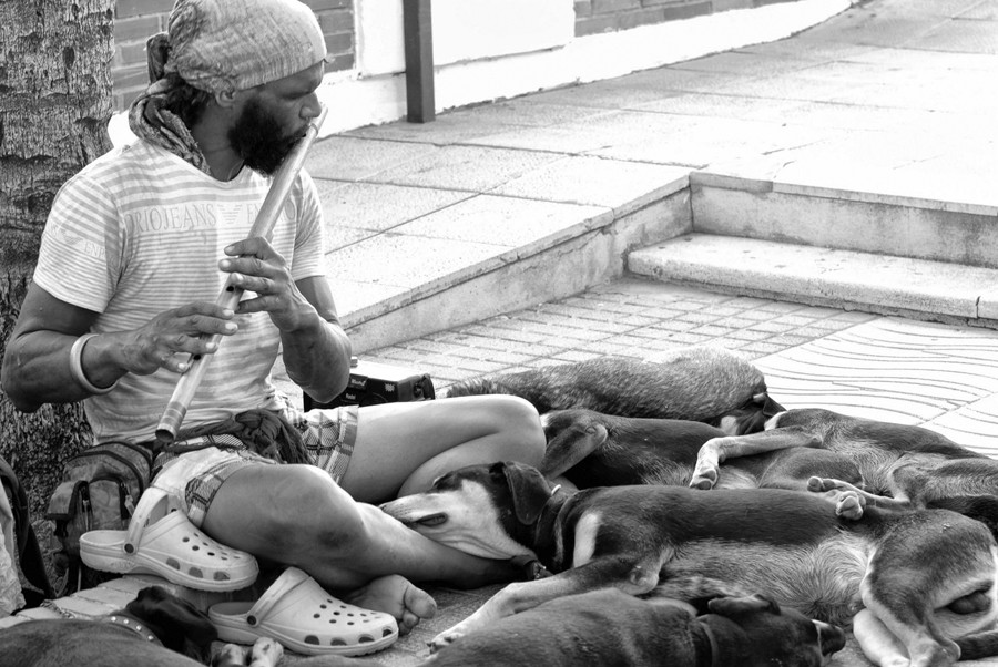 "Encantador de perros." de Mauricio Alejandro Granata.