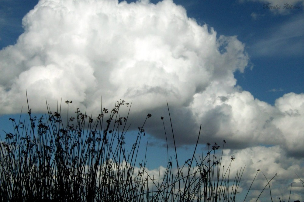 "Entre nubes" de Natalia Albano