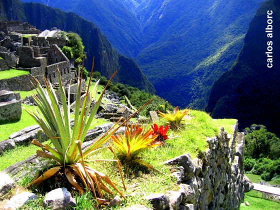 "Colores de Machu Picchu" de Carlos Alborc
