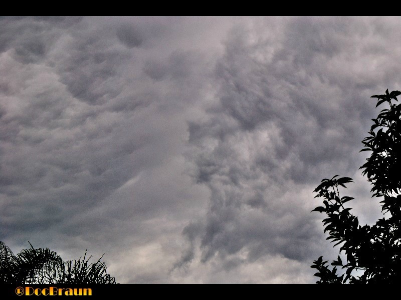 "Nubes de tormenta II" de Juan Jos Braun