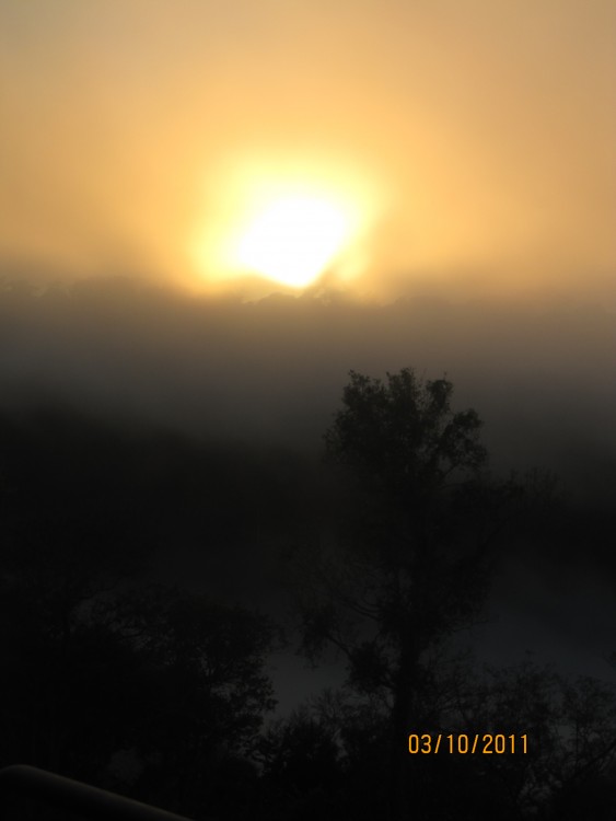 "Hmedo Amanecer - Parque Nacional Iguaz" de Susana Muniagurria