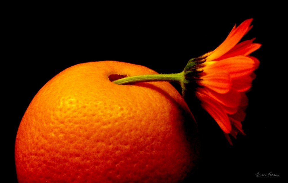 "Orange" de Natalia Albano