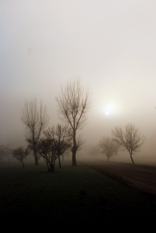 "La niebla...siempre" de Ricardo H. Molinelli