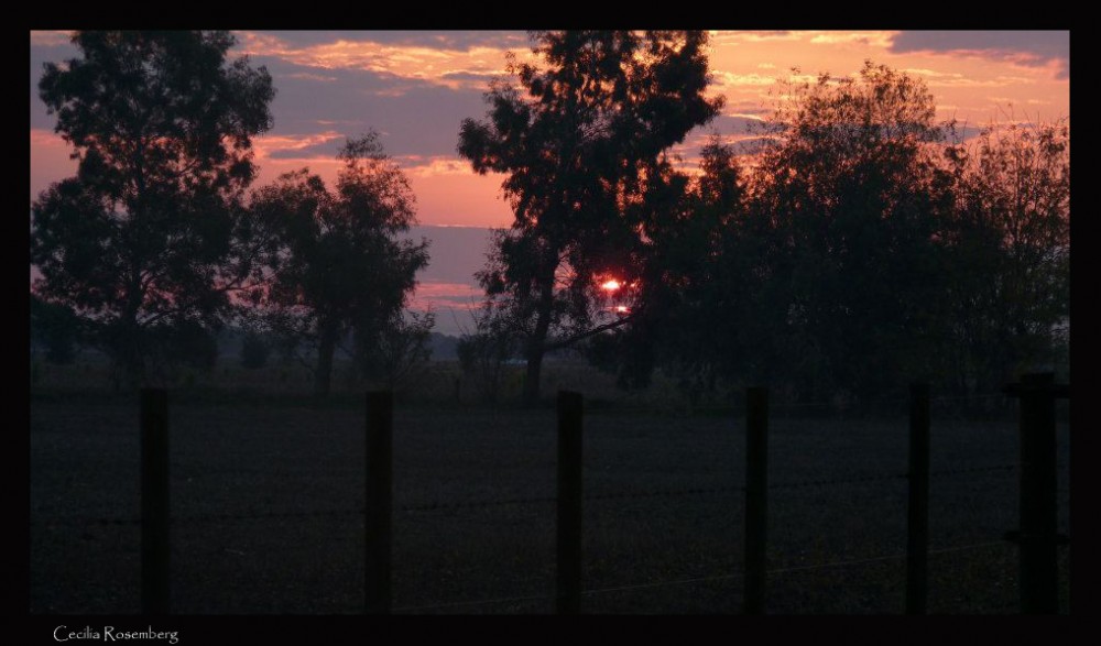 "Campo atardecer y mas!!!" de Viviana Braga