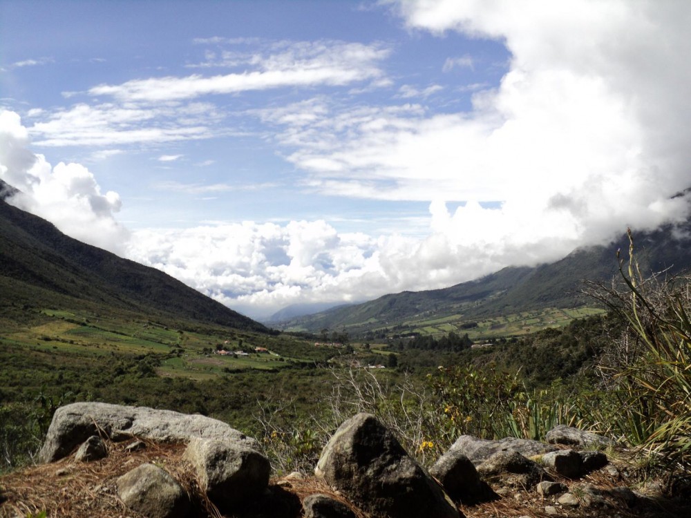 "Valle del rio Mucujum" de Piero Francesa