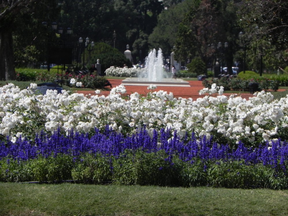 "Bella Primavera" de Raul Alfredo Vide