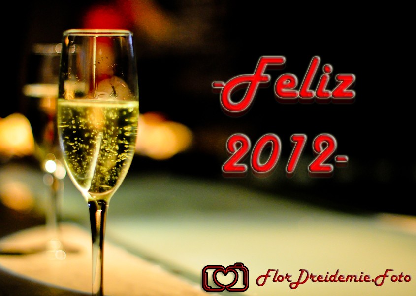 "Feliz 2012 Amigos!" de Florencia Dreidemie