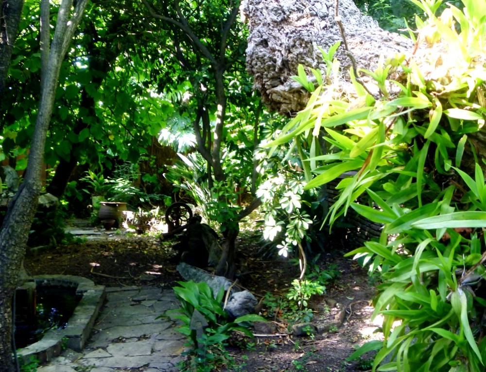 "El jardn de senderos que se bifurcan" de Agustn Lema