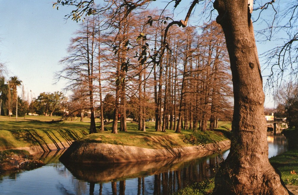 "Arroyo Miguelete" de Emilio Echesuri