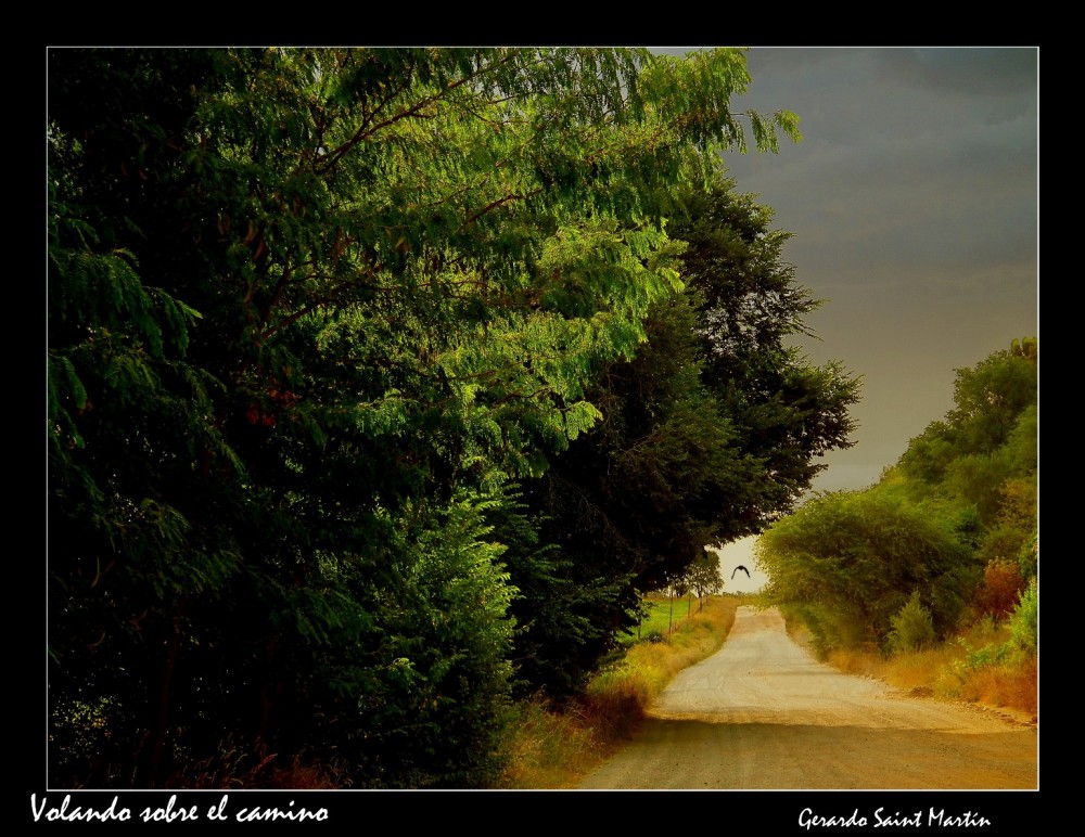 "Volando sobre el camino" de Gerardo Saint Martn