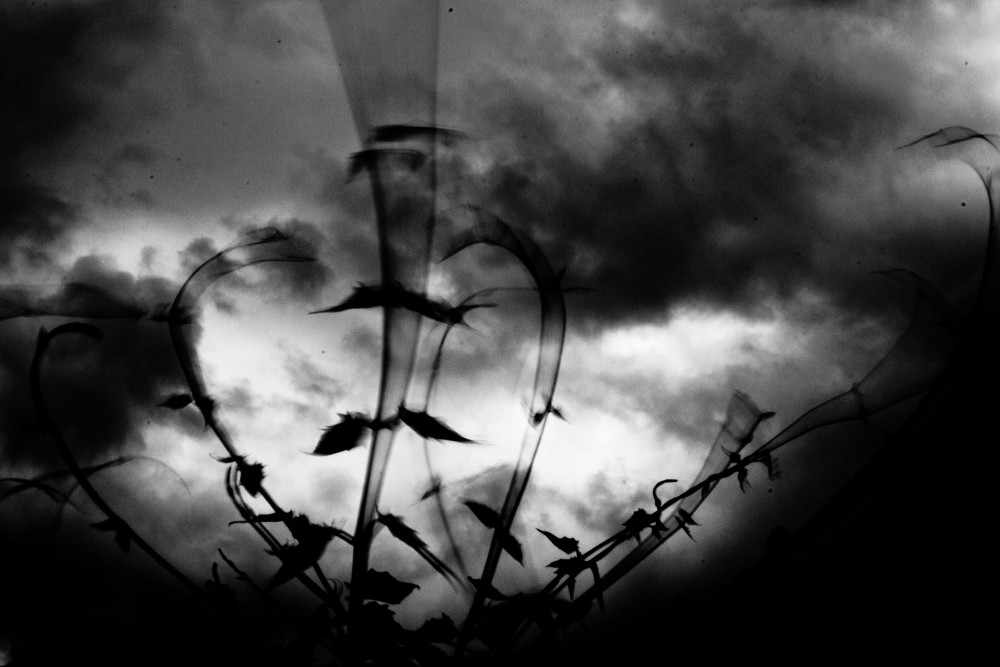 "Stormy Love" de Adrian Courtade