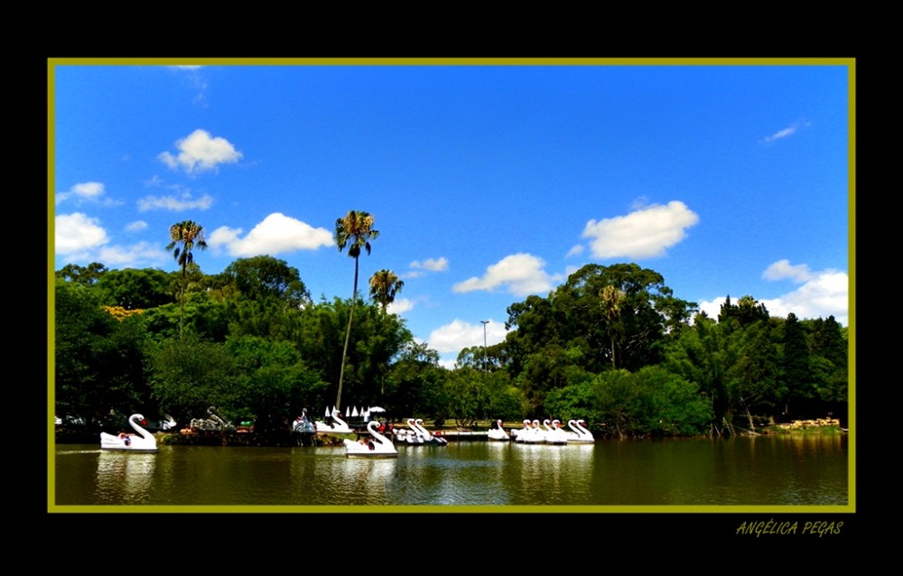 "LAGO EN PARQUE" de Anglica Pegas