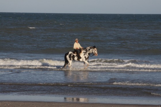 "paseando en el mar" de Norberto Durante