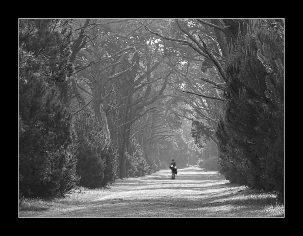 "Volver (byn)" de Eli - Elisabet Ferrari