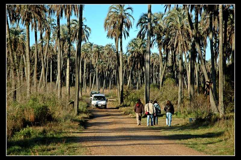 "All van ellos...los fotgrafos" de Patricia Dreise