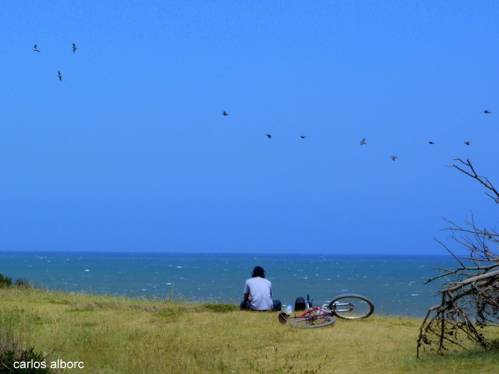 "Contemplando el mar" de Carlos Alborc