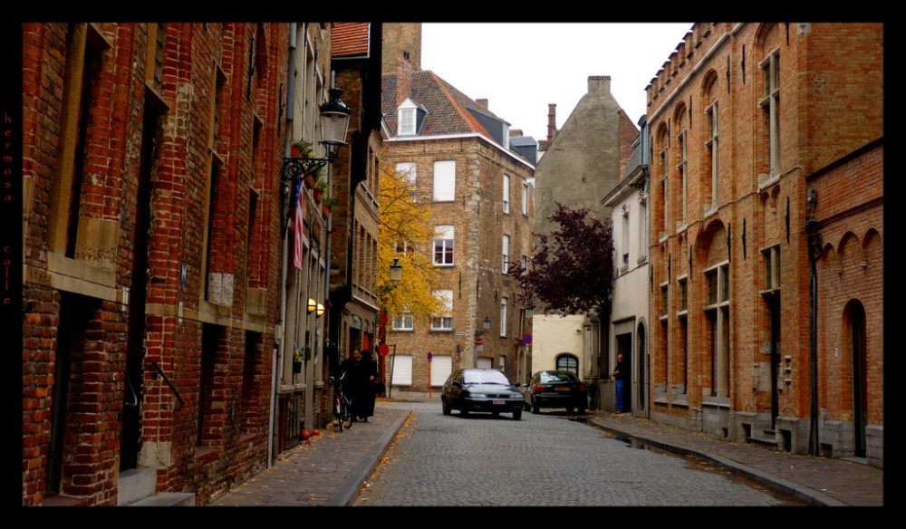 "hermosa calle" de Viviana Braga