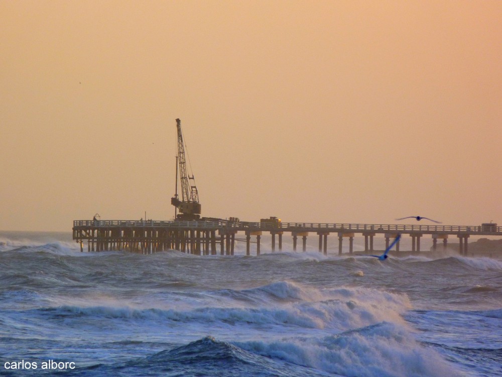 "El muelle" de Carlos Alborc