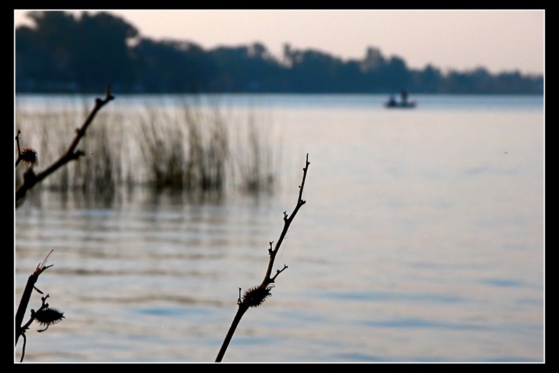 "De pesca" de Patricia Dreise