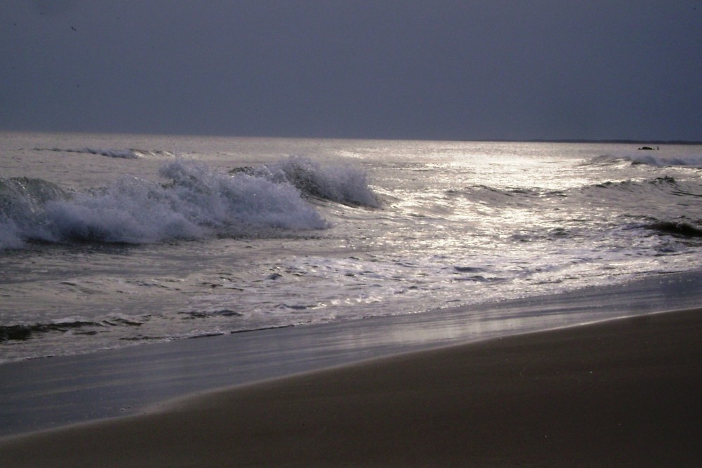 "OLAS" de Alfredo Frugone