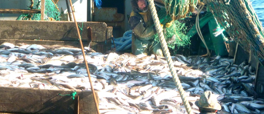 "pescadores" de Carlos Alberto Novo