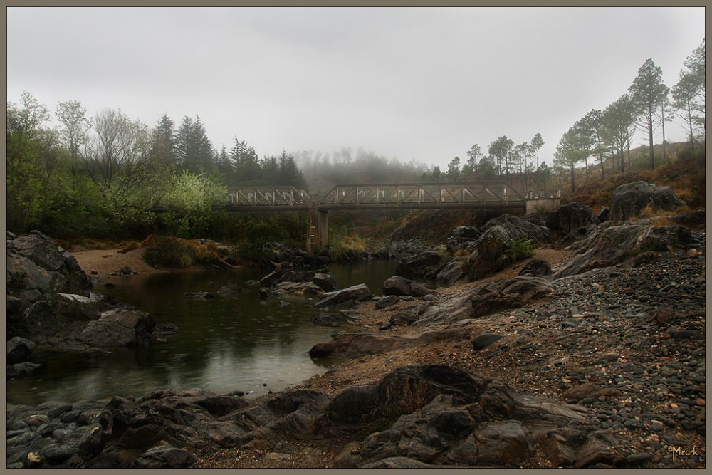 "Niebla en el puente" de Mirta Steinberg