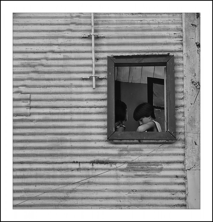 "In the window (blanco y negro)" de Analia Coccolo