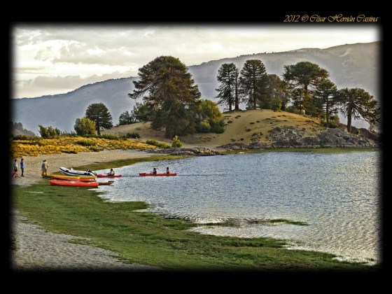 "Villa Pehuenia" de Csar Hernn Cassina