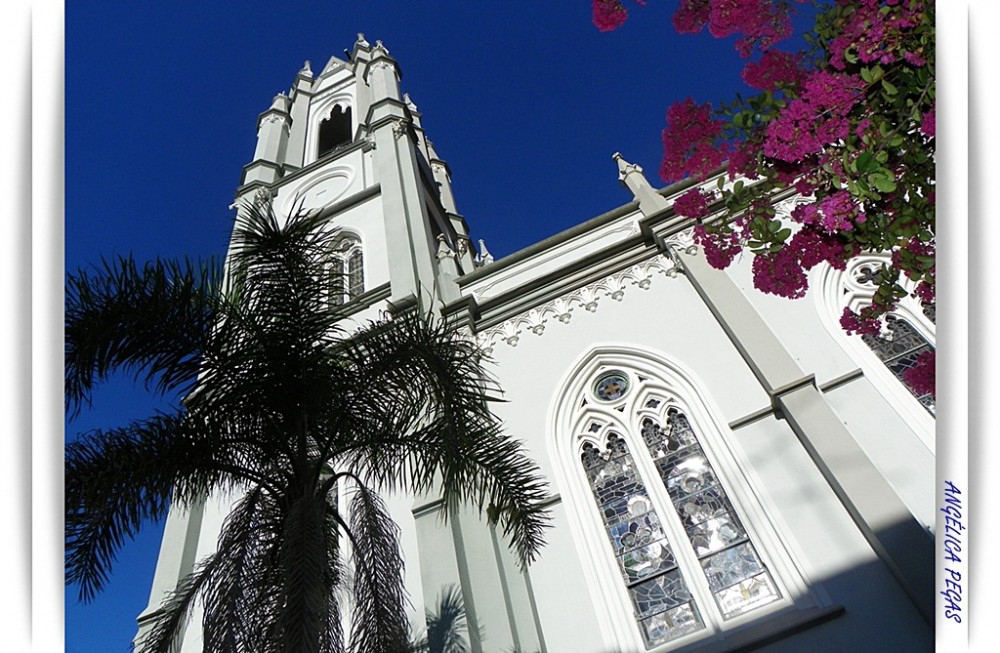 "IGLESIA , RBOL Y FLORES POR OTRO NGULO.." de Anglica Pegas