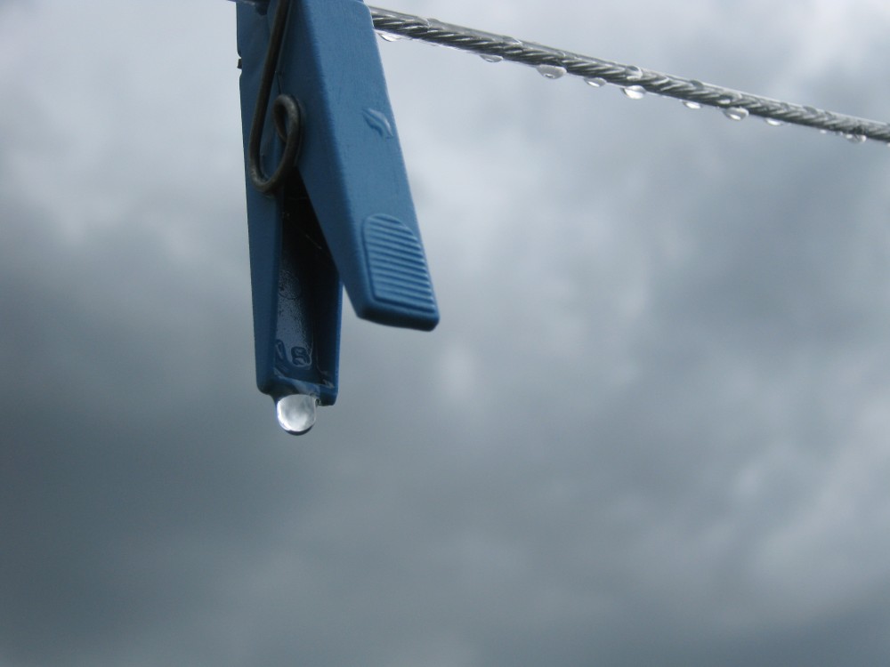 "Despus de la lluvia" de Mara Griselda Garca Cuerva