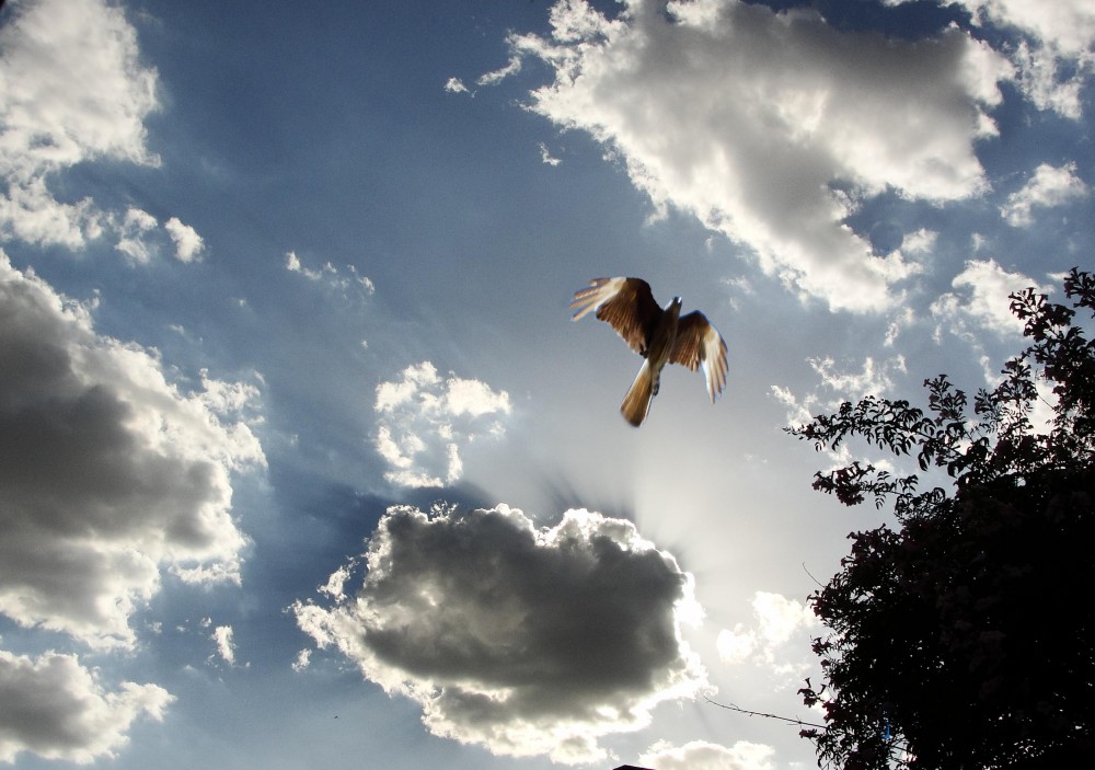 "En el cielo" de Ricardo Lagrange