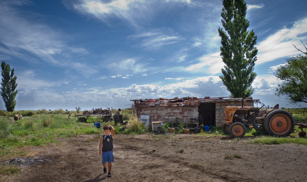 "nio y tractor" de Fernando Buezas