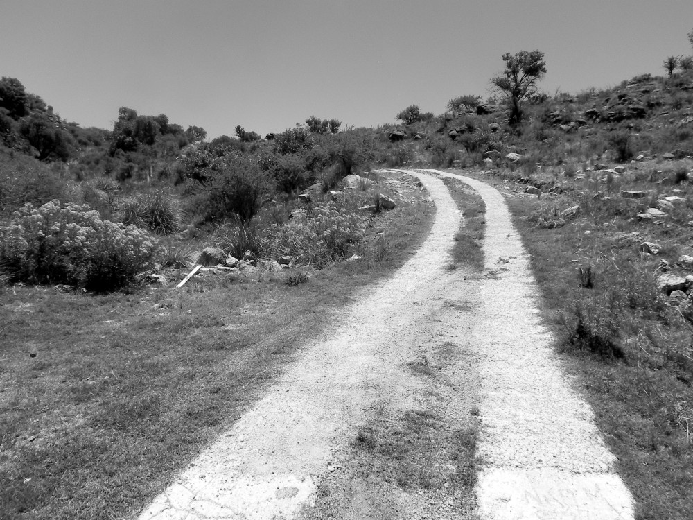 "Se hace camino al andar..." de Mirta Irene Judengloben