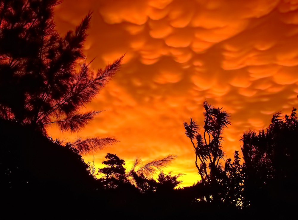 "Fuego despues de la tormenta" de Mario Csar Zaccagnini